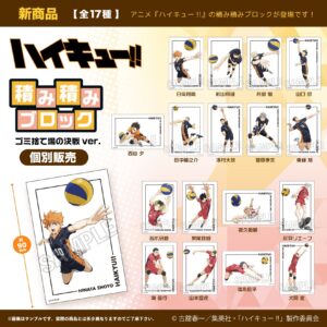 ハイキュー!!　積み積みブロック　ゴミ捨て場の決戦ver.